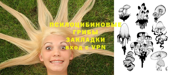 амф Алзамай